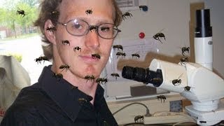 Scientist Lets Bees Sting His Private Parts For Experiment [upl. by Farnham947]