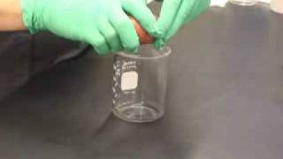 Lysozyme Preparation [upl. by Cone]