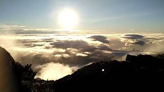 🌄 Spectacular Sunrise at MtApo Sea of Clouds 🌥️ MtApo naturelovers sunrise philippines [upl. by Hada]