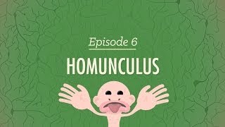 Homunculus Crash Course Psychology 6 [upl. by Towland281]