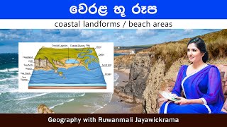 වෙරළ ඛාදිත හා නිධිසාධිත භූරූප coastal landforms beach areas  Geography Ruwanmali Jayawickrama [upl. by Rutherfurd]