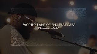 Worthy Lamb of Endless Praise  Hallelujah Moment  OFFICIAL MUSIC VIDEO [upl. by Ahsinhoj]