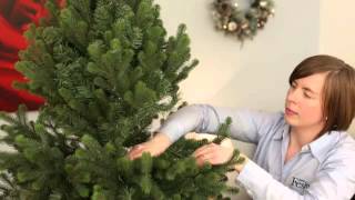 Assembling and shaping hinged Christmas Tree [upl. by Esinaj]