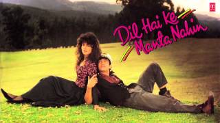 Dil Hai Ki Manta Nahin Full Audio Song Female Version  Anuradha Paudwal  Aamir Khan Pooja Bhatt [upl. by Kiri707]