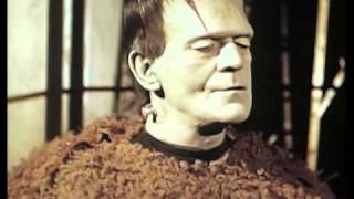 Son of Frankenstein Boris Karloff Color Test [upl. by Modla221]