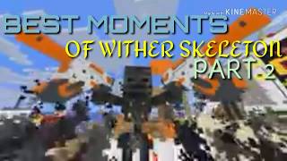 Best Hacking Moments Of Wither Skeleton Part 2 Monster School [upl. by Nnednarb]