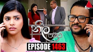 Neela Pabalu නීල පබළු  Episode 1463  14th February 2024  Sirasa TV [upl. by Urana296]