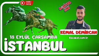 İSTANBUL  Canlı Yayın  Bariyer Dibi  18 Eylül 2024 Çarşamba atyarisi [upl. by Mcquade]