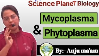 Mycoplasma and Phytoplasma By Anju maam scienceplanetbiology [upl. by Hereld736]