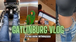 Gatlinburg Vlog   my sister birthday trippp  tallglassofwinee [upl. by Ydurt610]