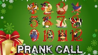 Walmarts 12 Days of Christmas Prank Call [upl. by Sweet292]