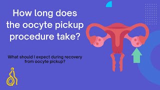 How long does the oocyte pickup procedure take  DrRamaRaju Raju Raju  Krishna IVF Clinic [upl. by Anitsyrhk]