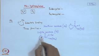 Mod22 Lec22 Molybdenum Enzymes  I [upl. by Janella]