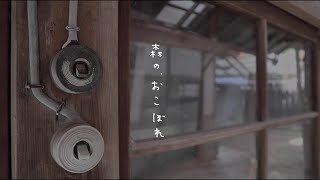 離れ編ep04【古民家ぐらし帖】レトロな建具に釘付け｜床の下地完成｜断熱材と合板編 [upl. by Amory]