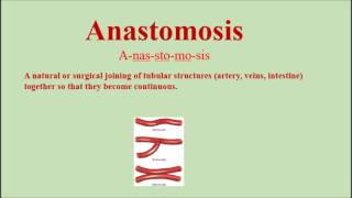 Anastomosis Pronunciation and Definition  How to pronounce anastomosis [upl. by Latsyrd]