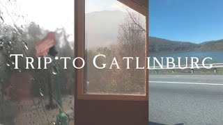 VLOG TRIP TO GATLINBURG TN [upl. by Eatnahs929]