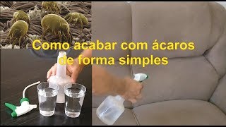 como acabar com Ácaros facilmente [upl. by Knowles643]