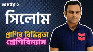 6 সিলোম  প্রকৃত সিলোম অপ্রকৃত সিলোম ও সিলোমহীন [upl. by Eula]