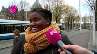 Negers over racismegehalte Nederland [upl. by Maram796]