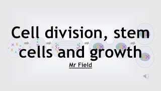 GCSE Biology 08  Cell division and growth [upl. by Fletcher679]