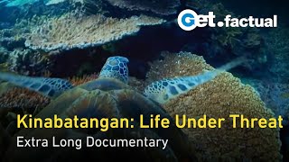 Kinabatangan River of Life and Loss  Extra Long Documentary [upl. by Acinyt]