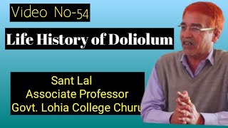 Life History Of Doliolum II MSc Final PaperVVideo No54 II [upl. by Acceber]