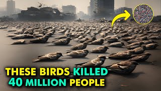 40 Million People Were Killed Due to this Bird in China  Four Pests Campaign  iPhohics [upl. by Initof]