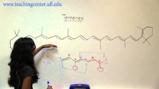 Recognizing Terpenes [upl. by Salvay342]