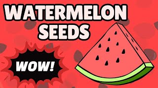 Watermelon Seeds  6 Amazing Health Benefits [upl. by Hudis858]