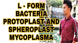 L form bacteria Protoplastspheroplastmycoplasmadifference between L form and mycoplasma [upl. by Theodora]