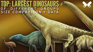 TOP Largest Dinosaurs Size Comparison and Data [upl. by Oicnedif130]