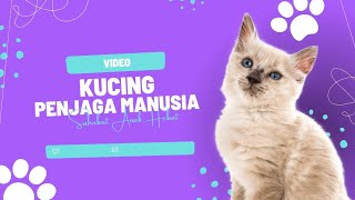 Sejarah Kucing di Dunia videolucuvideoviralkucinglucuvideokucing [upl. by Ahsaeit]