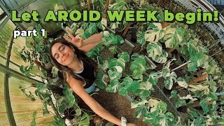 Aroid Week set up vlog pt 1  Preparing for International Aroid Show IAS Miami 2022 Aroid Greenhouse [upl. by Nylaf]