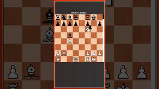 Danish Gambit at its Best  Chess Opening Tricks to WIN Fast [upl. by Araeit]