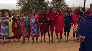 Adumu or Maasai jumping dance  Kenya  Africa [upl. by Ennaer]