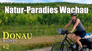 DonauRadweg 2  Naturparadies Wachau  EuropaRadreise 27 von 53 [upl. by Ronnica459]