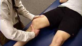 Knee Exam Lachman Test [upl. by Adnolat]