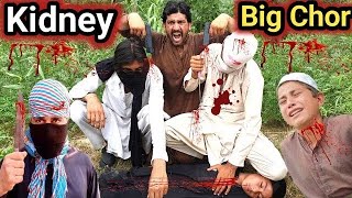 Kidney Big Chor Pashto New Short Drama Awais Khan Vines 2024 trending unfrezzmyaccount  2024 [upl. by Lilia]