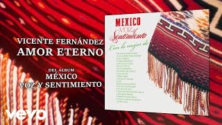 Vicente Fernández  Amor Eterno Cover Audio [upl. by Emmie]