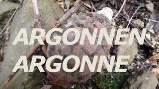 ☮ Argonnen bei Varennes Kampfgebiet 1 WK Gewehrfund quotLebelquot  Argonne WW1  Rifle discovery [upl. by Elokyn]