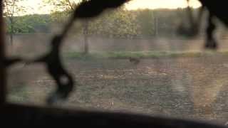 Michigan Turkey Hunt  Self Filmed  Jordan Browne Michigan OutofDoors TV [upl. by Jemmie36]