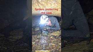 Massive spiders turned us around adventure spiderman claustrophobic [upl. by Editha]