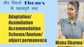 Jean piaget cognitive development  adaptation assimilation accommodation  Cdp by Nisha Sharma [upl. by Jacob394]