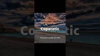 Copacetic ytshorts reel trending viral viralvideo facts english words ssc hssc cgl ctet [upl. by Bonita]