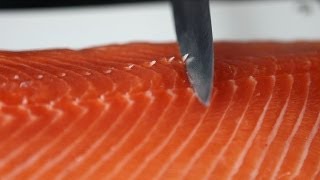 Lachs filetieren  Bei den Fischexperten von Deutsche See sitzt jeder Schnitt [upl. by Megen26]