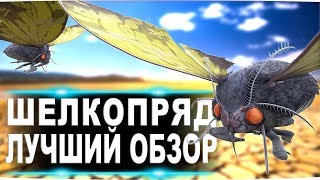 Шелкопряд Lymantria в АРК Лучший обзор приручение и способности в ark [upl. by Burkle]