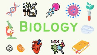 9 A Level Biology  Homeostasis 🌡 [upl. by Dranoc]