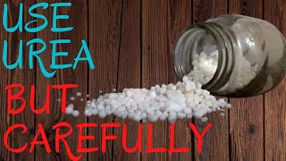 WHAT IS UREA FERTILIZER amp HOW TO USE IT  PROS amp CONS  COMPLETE BRIEFING [upl. by Viguerie]