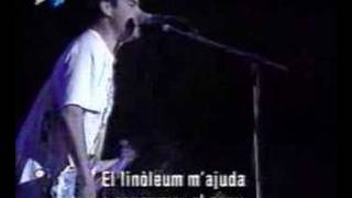 NOFX  Linoleum live Dr Music Festival 97 [upl. by Adnilim291]