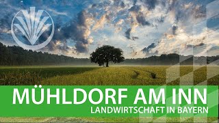 Landwirtschaft in Bayern Landkreis Mühldorf in Oberbayern [upl. by Goldfarb774]